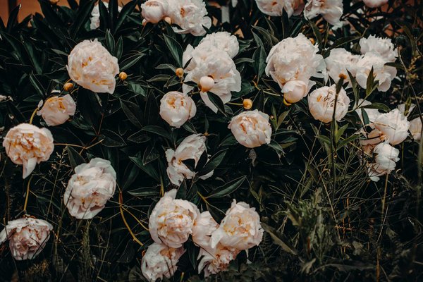 Installation pac (pompe à chaleur) : économisez jusqu'à 70% !