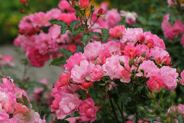 Rénovation moquette et pvc : transformez vos espaces !