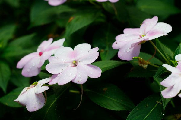 Top caractéristiques à considérer pour une table ronde extensible durable