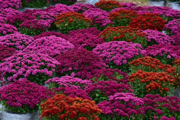 Les essentiels à savoir sur l'alarme incendie en entreprise