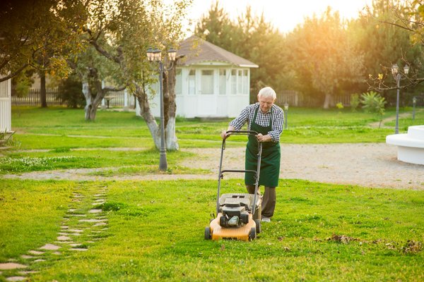 Peut-on tondre sa pelouse le dimanche ? horaires et règles à suivre